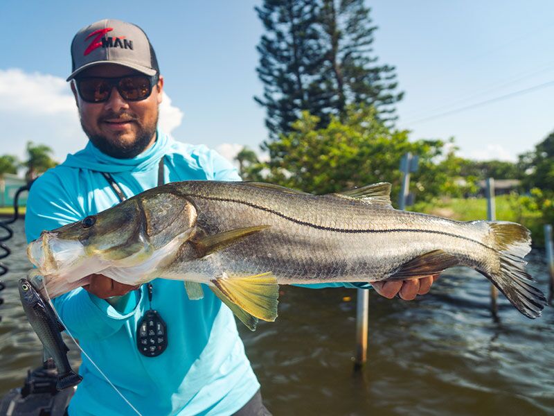 Z-Man Mulletron LT - Snook Snacks