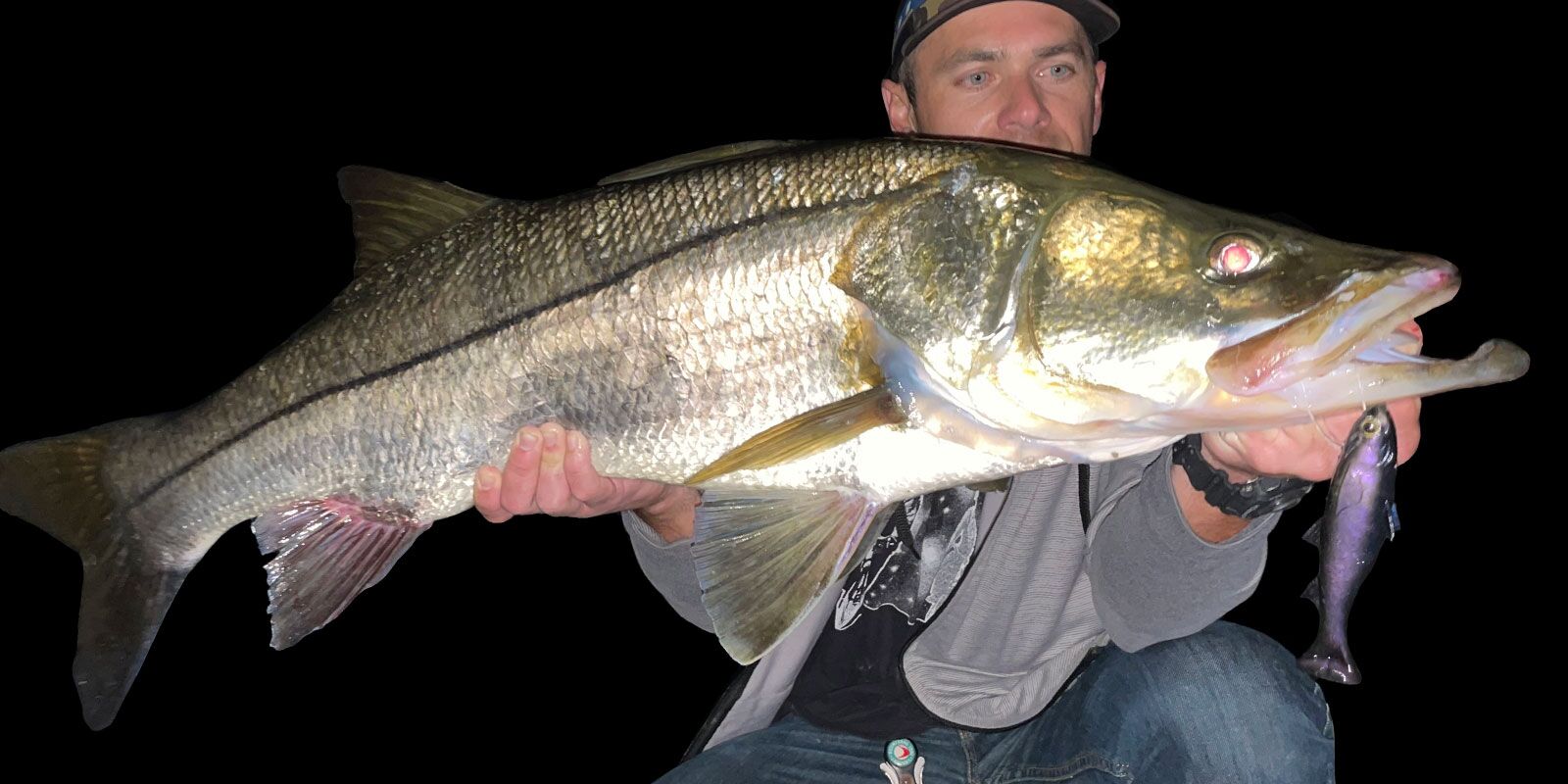 Best Baits for Snook - Snook Snacks